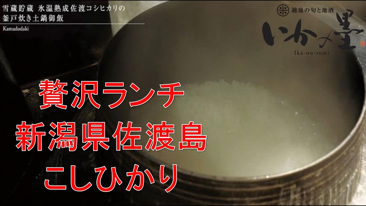 新潟・佐渡の旬と地酒「いかの墨」シァル横浜アネックス店