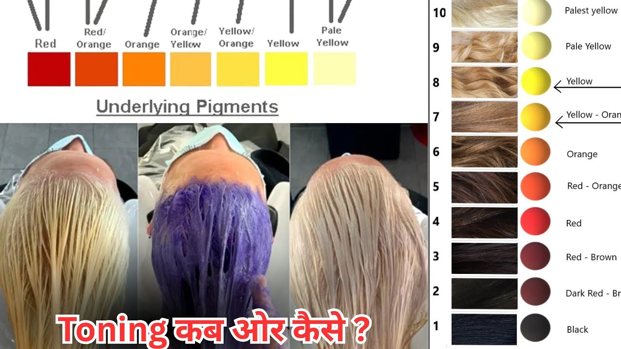No More Brassy Hair !Hair Toning Masterclass (Step-by-Step) Salonfact 
