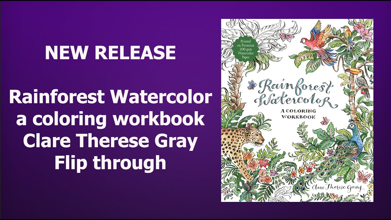 Rainforest watercolor flip through | Clare Therese Gray | New release | My squirrel friend