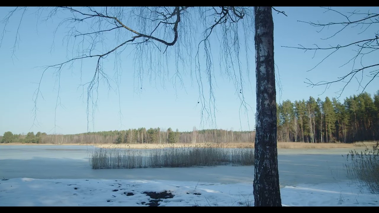 Весна в городе