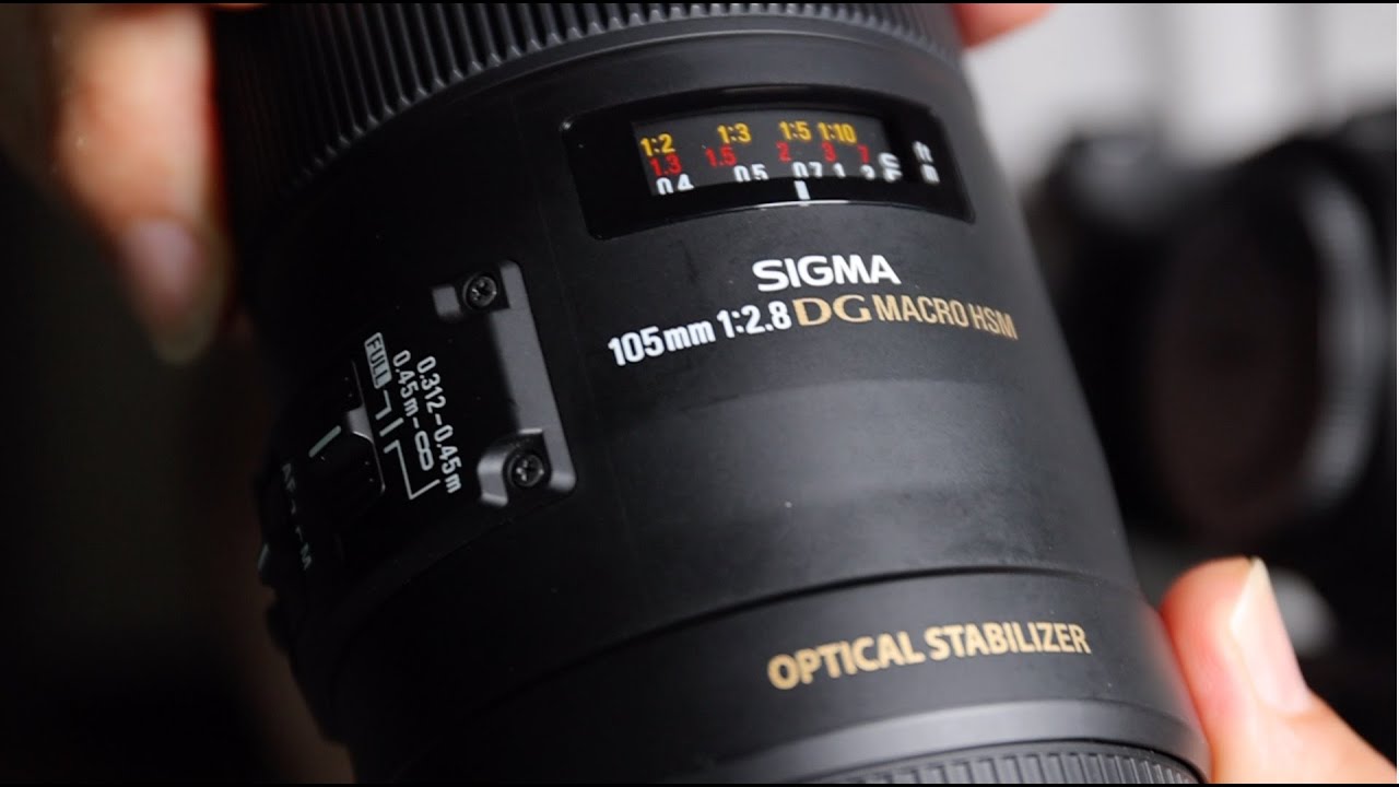 Sigma 105mm f 2.8 macro DG HSM SA - full test