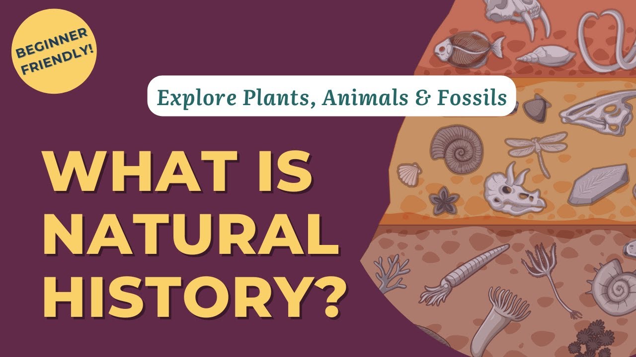 What is Natural History?