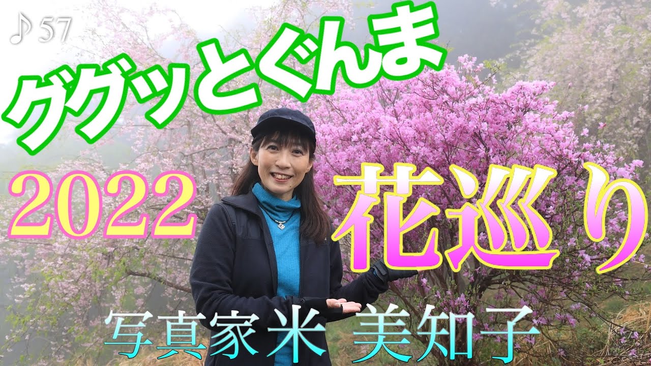 【花撮影】ググッとぐんま！桜から初夏の花まで群馬花巡り♪