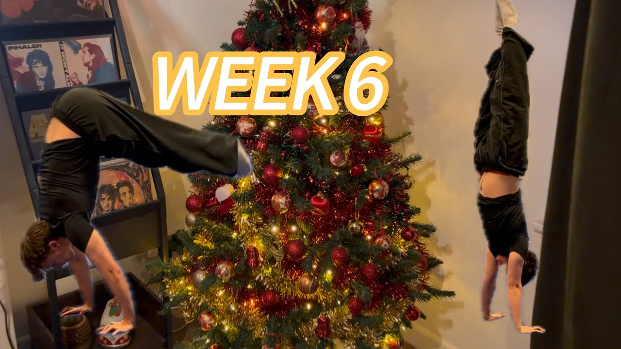 week 6/52 - post operation comeback - team gym