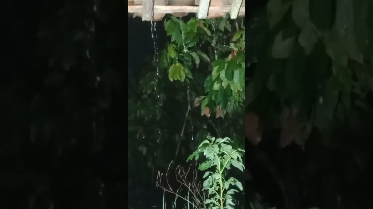 Suara hujan, cocok untuk relaksasi,dan penghantar tidur.