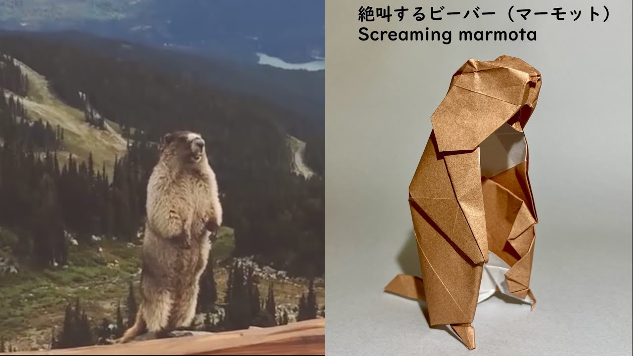 【15cm折り紙1枚】絶叫するビーバーの折り方　Origami Screaming Marmota