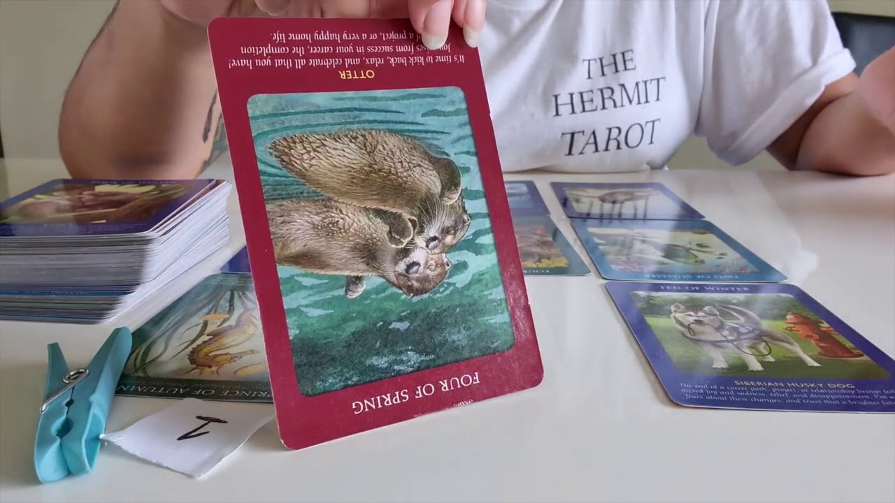 // Pick A Card ~ 💞Channelled Messages From Your Person 💞