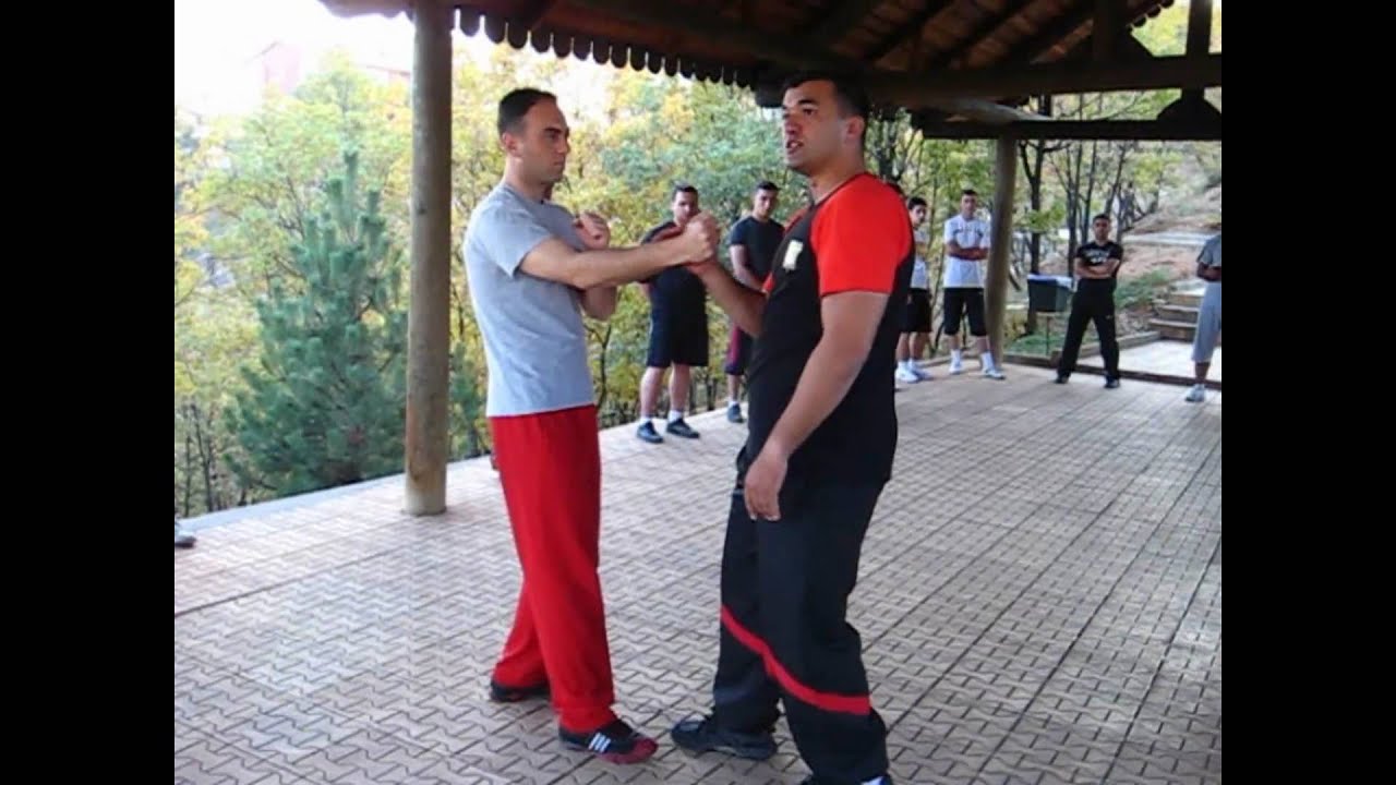 IKWTS Wing Tsun for Police and Gendarmarie Special Operation Units TURKEY
