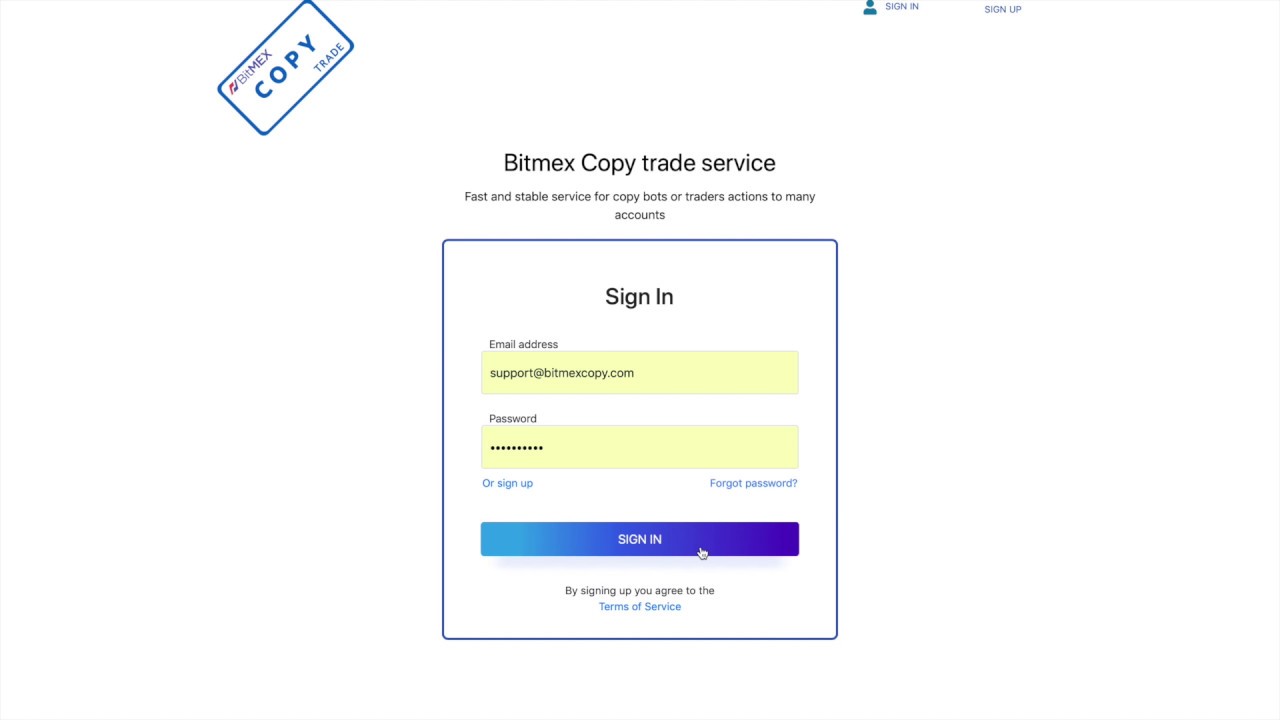 How to create the first Bitmex bot and start copying.