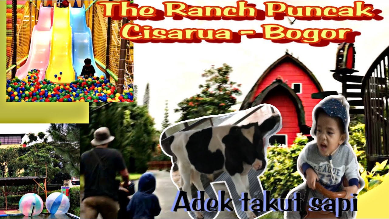 Wisata The Ranch Puncak Bogor | Wisata Alam Sejuk dan Murah di Bogor