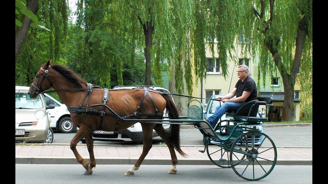 Z Andrusem po Galicji- Jedlicze, odc. 6