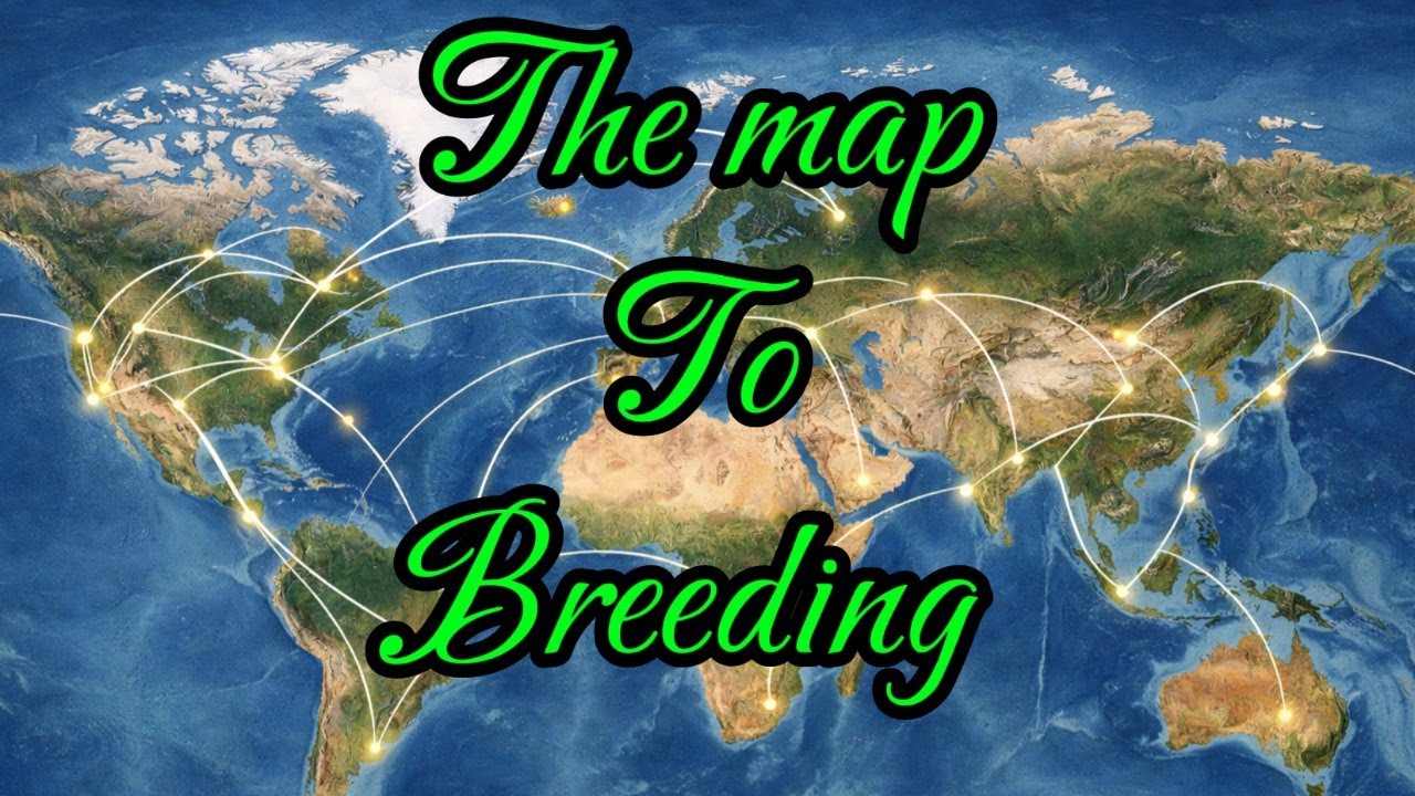 Mapping out a breeding plan | Feat Hell creek reptiles(Episode 11)