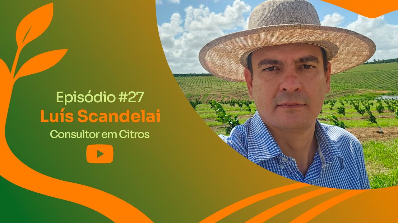 Consultor em Citros | Luís Scandelai #27