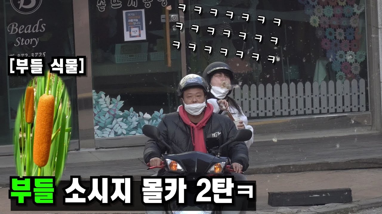 [ENG CC[몰카] 한입 베어 물면 씨가 터지는 부들 소시지 몰카 2탄ㅋㅋ(ft.크크오톡,박진주입니다