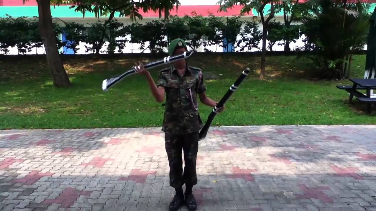 YTSS NCC PDS 2011 - Rising Sun and THE DOUBLE RISING SUN (a.k.a THE KYLE)