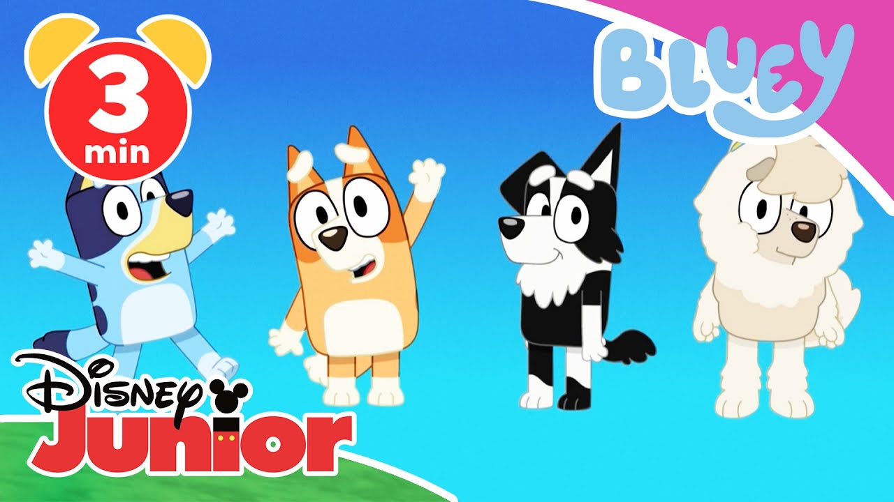 💙 Bluey - Rate mit! - Silhouetten-Spiel | Disney Junior