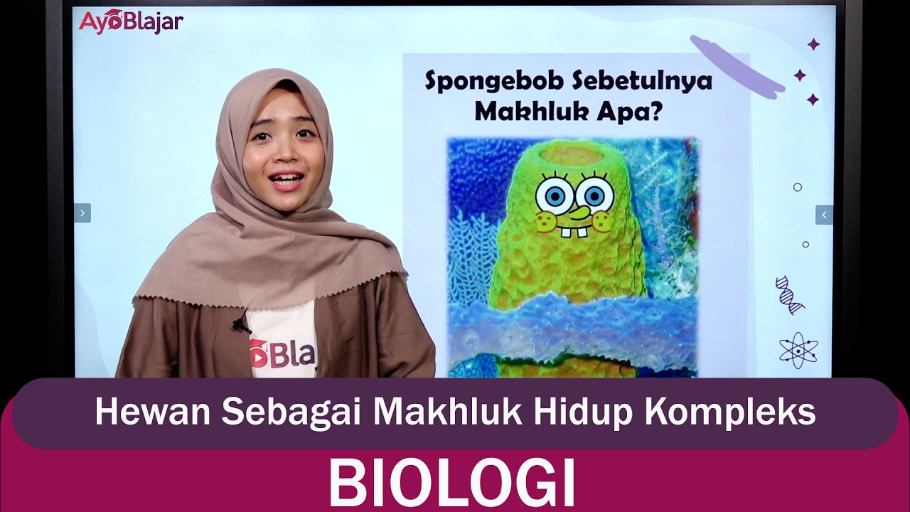 Biologi Kelas 10 - Hewan Sebagai Makhluk Hidup Kompleks Prorifera