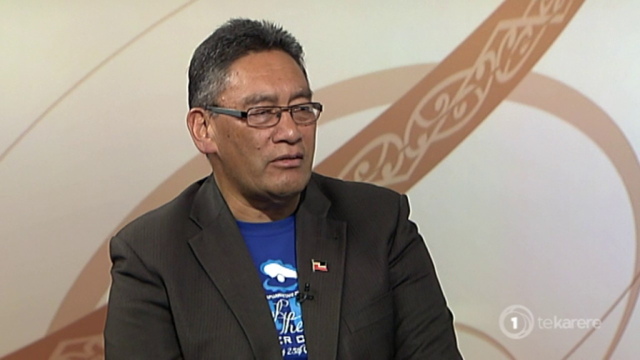 Tōrangapū: Mana and Māori parties plan to re-catch all seven Māori seats