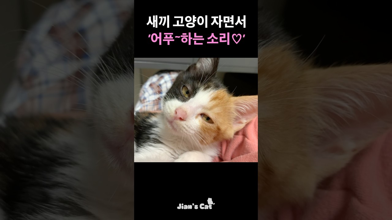 붕어 아가미냐고 ㅋㅋㅋㅋㅋ