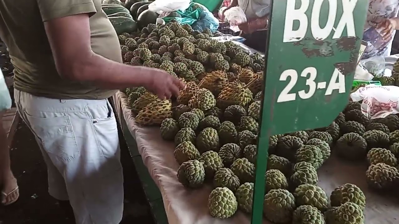 Visitando a feira do Produtor em Tangará da Serra- MT