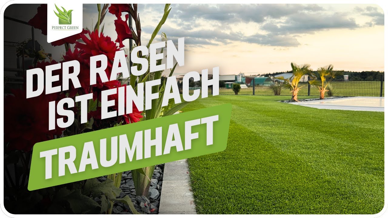 🌱 Einfach Traumhaft! - Meine Rasen Neuanlage mit der Brillant Rasen Mischung.  🌱