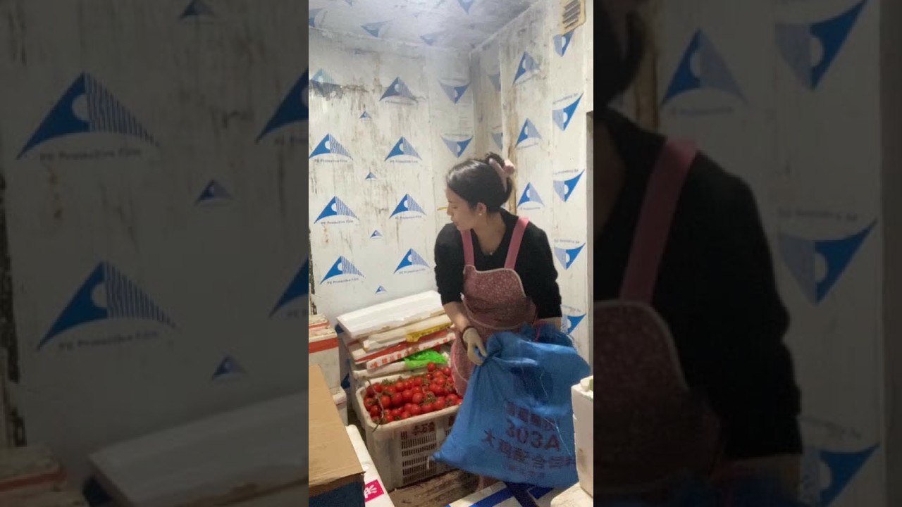 忙碌的春节结束了，我可以给自己放个小假，小姨在家帮忙看摊了，所以我们去哪里玩好呢，姐妹们有什么建议吗。