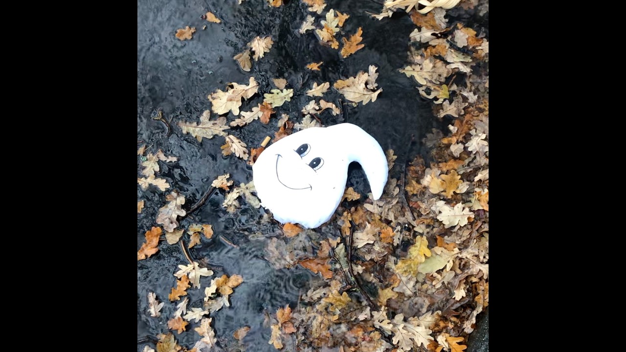 Rearview Sunset - Angus Watt