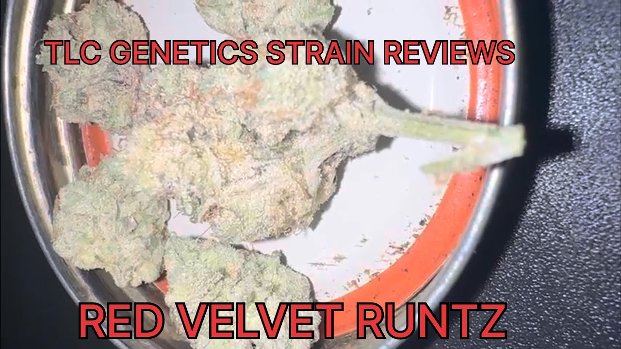 Red Velvet Runtz Cannabis Flower (Strain Review): The TLC Genetic Show