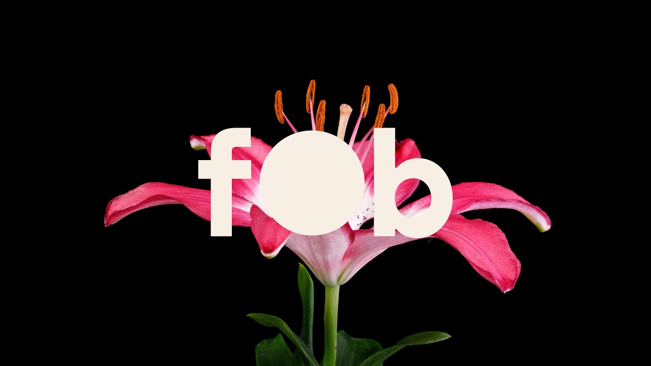 fob - Be Alright (feat. Jaime Deraz) (Official Lyric Video)