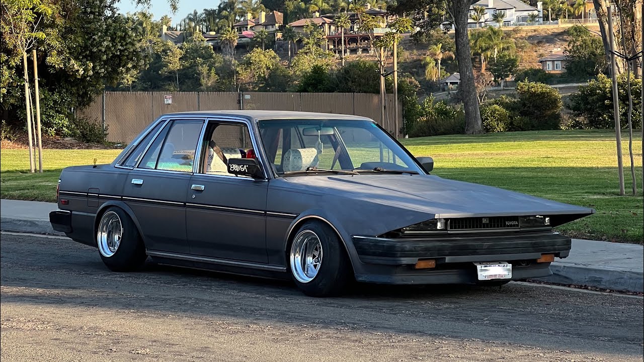 Cressida Long Nose Pt.2