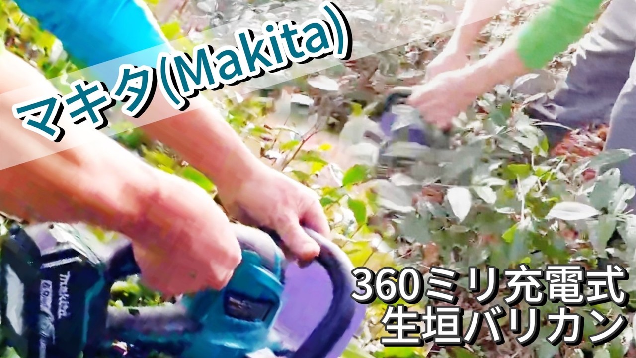 茶ノ木を雑に剪定！！マキタ(Makita) 360ミリ充電式生垣バリカン 18V バッテリ・充電器別売 MUH367DZ