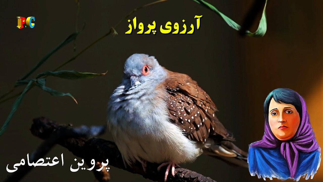 Parvin E'tesami - Arezoye Parvaz / آرزوی پرواز از  پروین اعتصامی