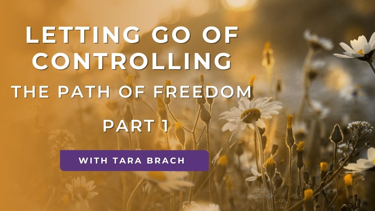 Letting Go Of Controlling, The Path Of Freedom - Part 1