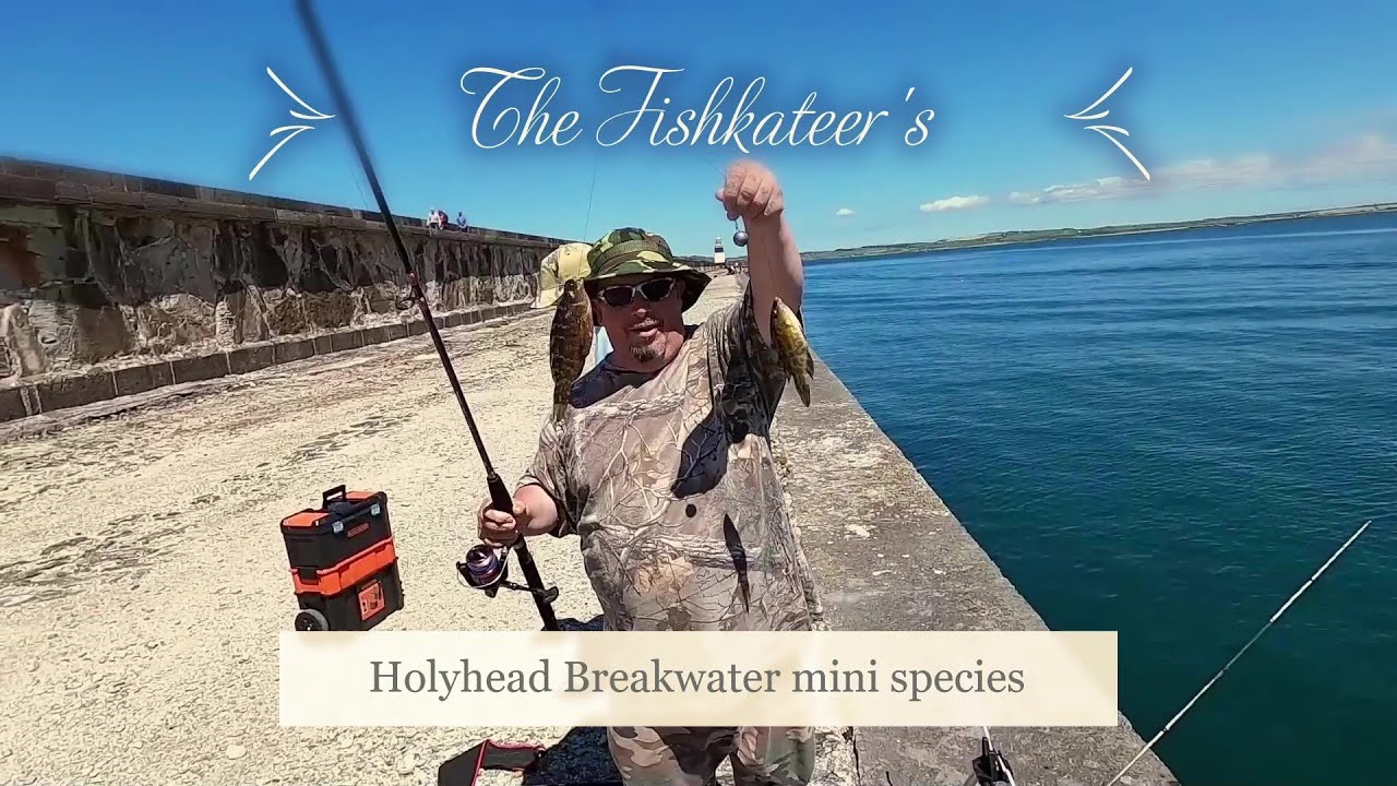 Fishing holyhead breakwater  mini bashing