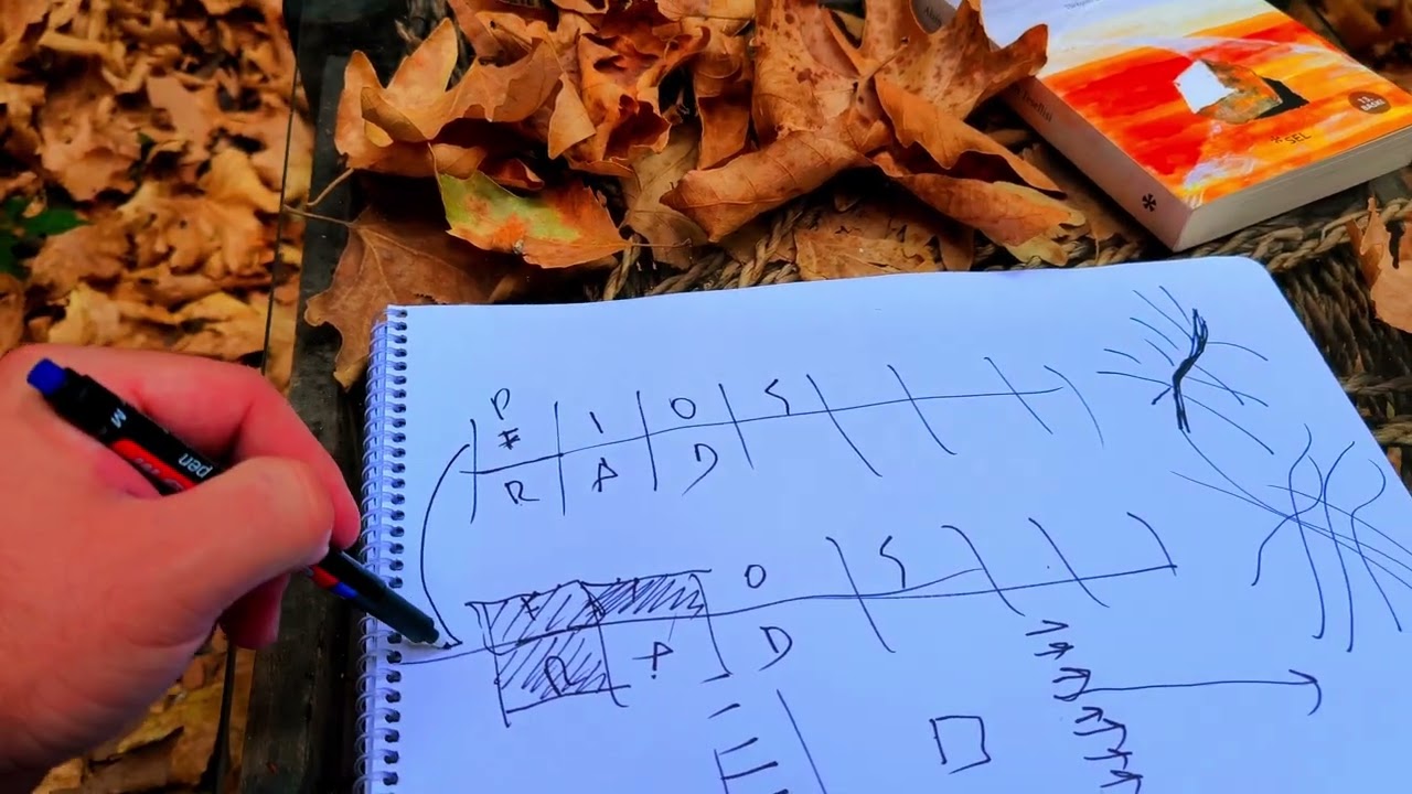Obsesyonu dağıtarak odaklı, mutlu ve kendini eğiten biri olmak 