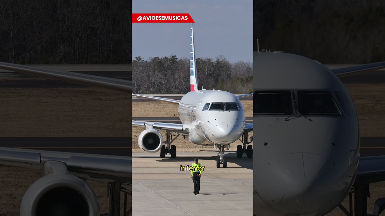 Como assim a asa do avi&atilde;o &eacute; mole desse jeito?