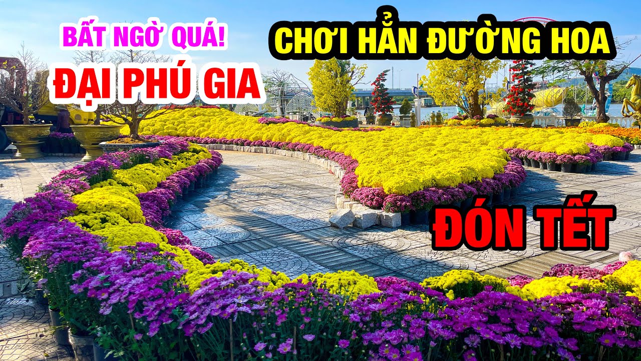 ĐẠI PHÚ GIA (QUY NHƠN) CHƠI HẲN ĐƯỜNG HOA ĐÓN TẾT