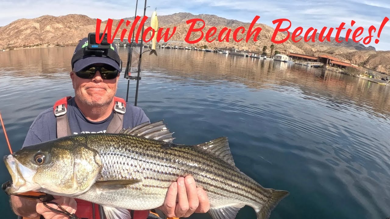 Willow Beach Striper Fishing | Catch and Release from the Kayak