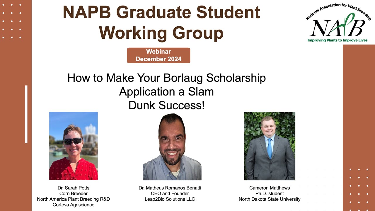 How to Make Your Borlaug Scholarship Application a Slam Dunk Success!
