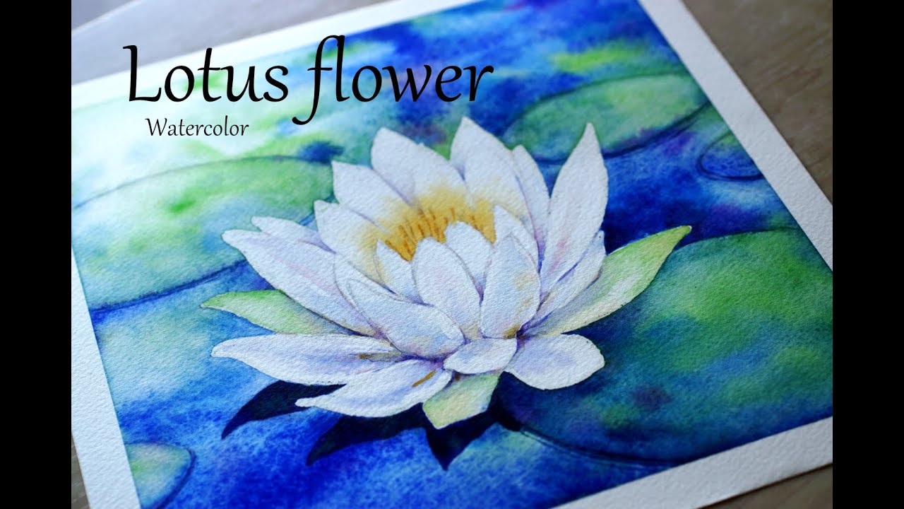 蓮の花／Lotus flower（Watercolor／透明水彩）