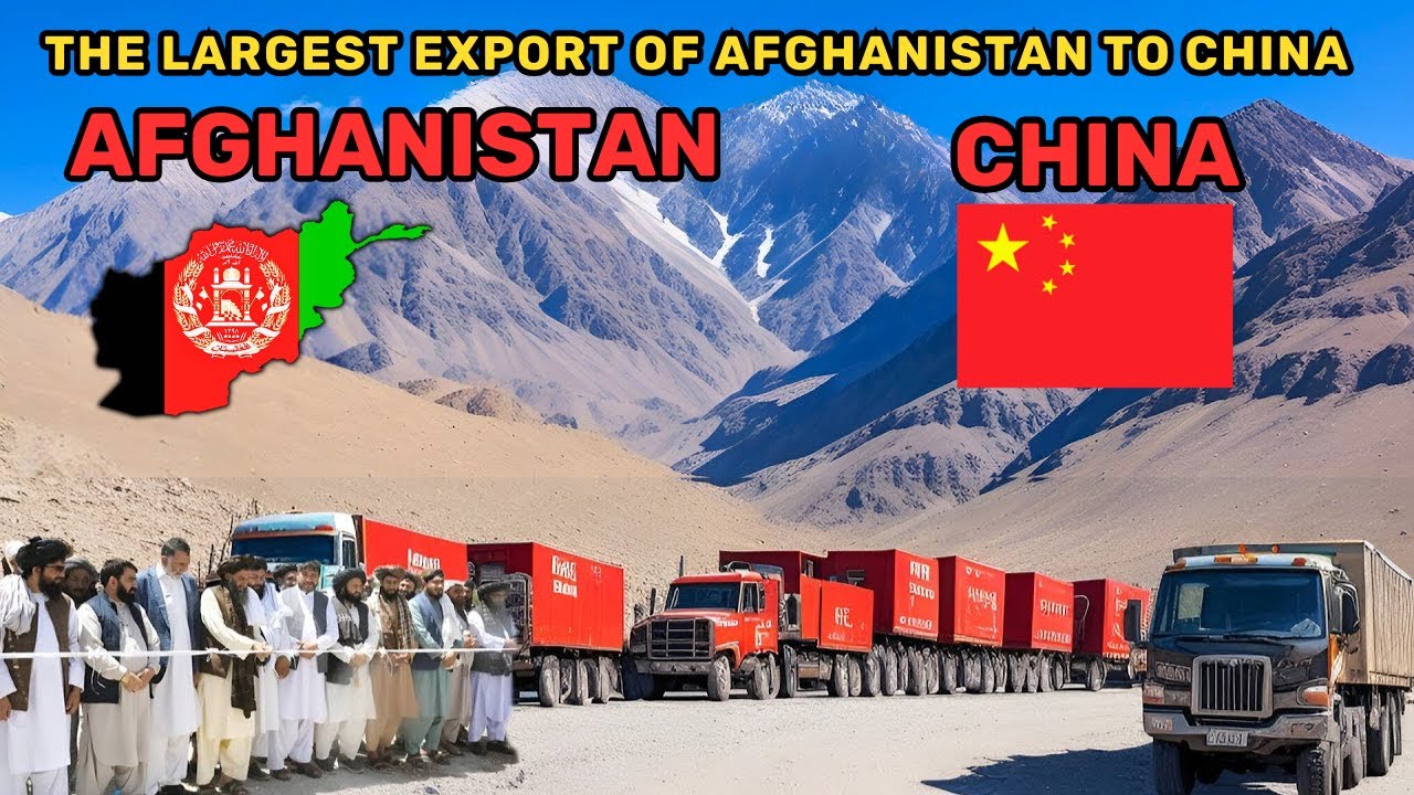 Afghanistan's Largest Export to China! Million Dollars Trade Deal Between the Two Nations.