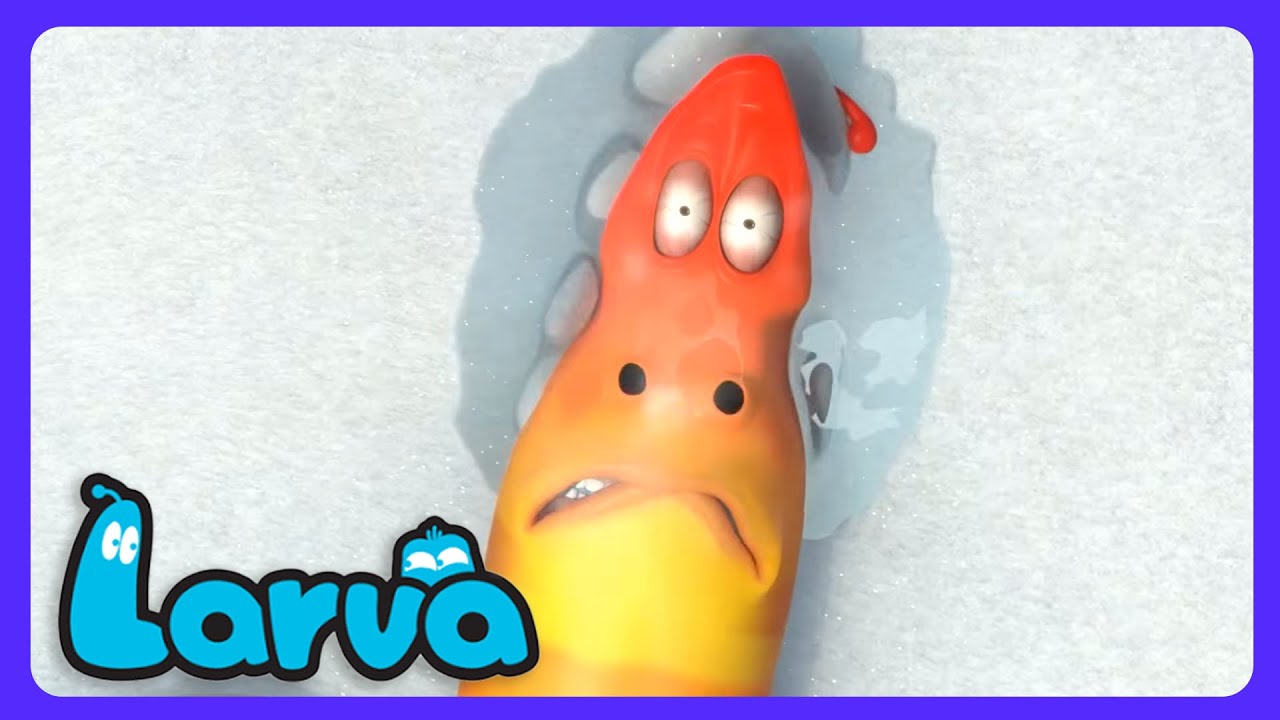 Larva - Guerra de nieve divertida | Dibujos Infantiles | WildBrain Niños