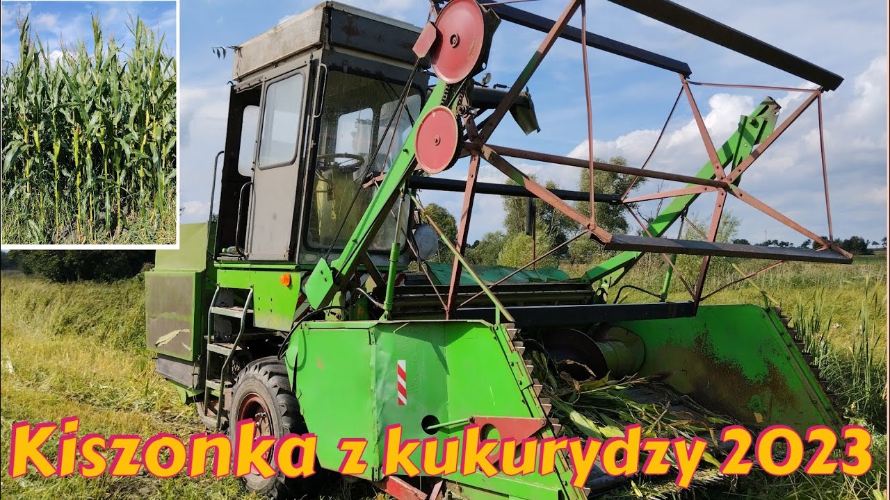 Kukurydza na kiszonkę 2023 - 2x Zetor 7245 i 7745 oraz fortschritt E-281