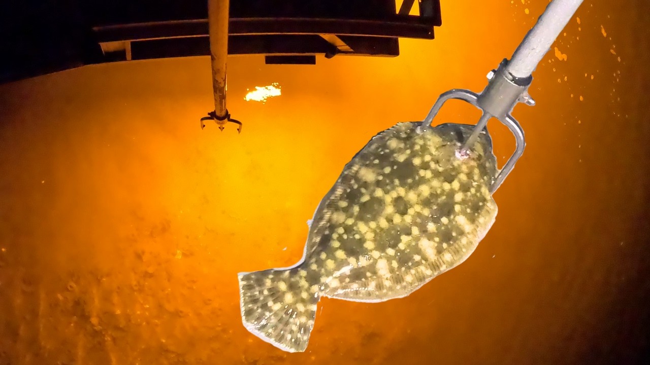 Epic Flounder Gigging In Americas Oldest City - Catch Clean Cook | Country Traditions