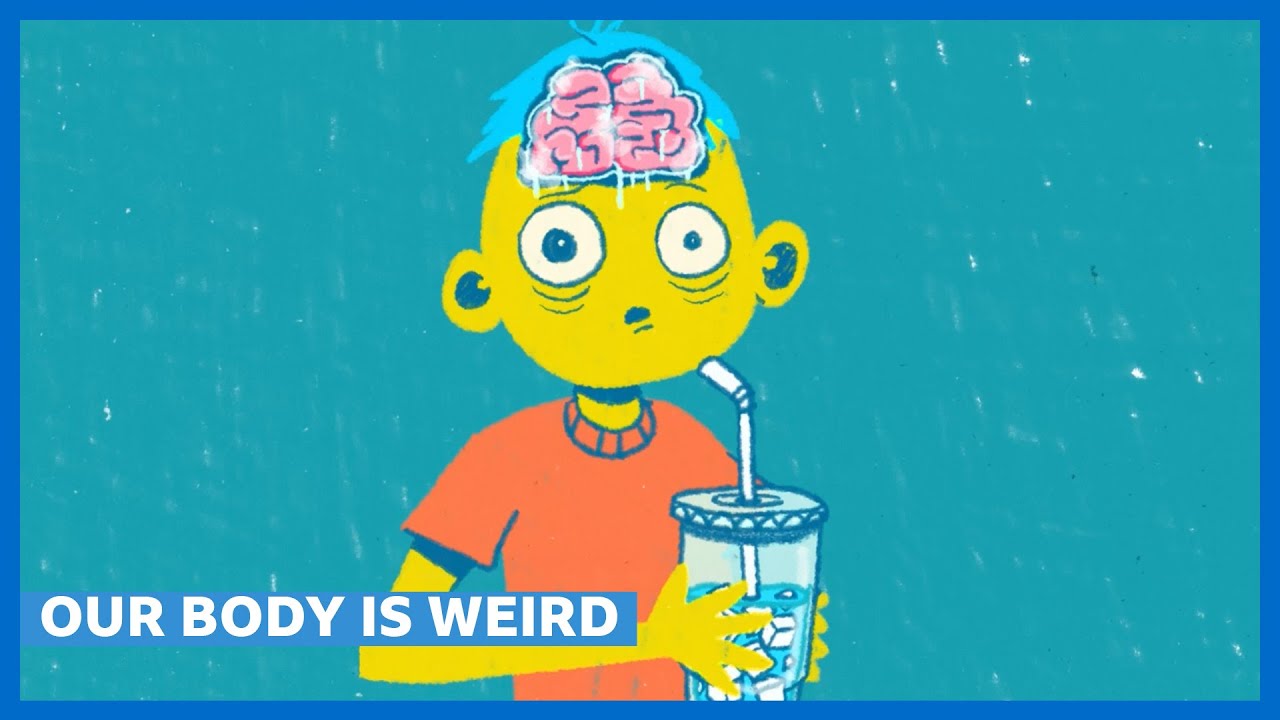 Exploring Weird Facts About Our Bodies | The Science of the Human Body