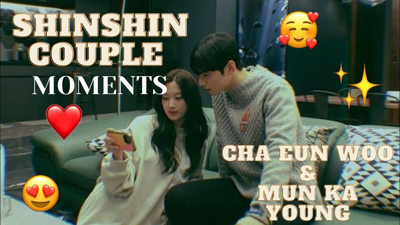 SHINSHIN COUPLE MOMENTS! | Bangtanie