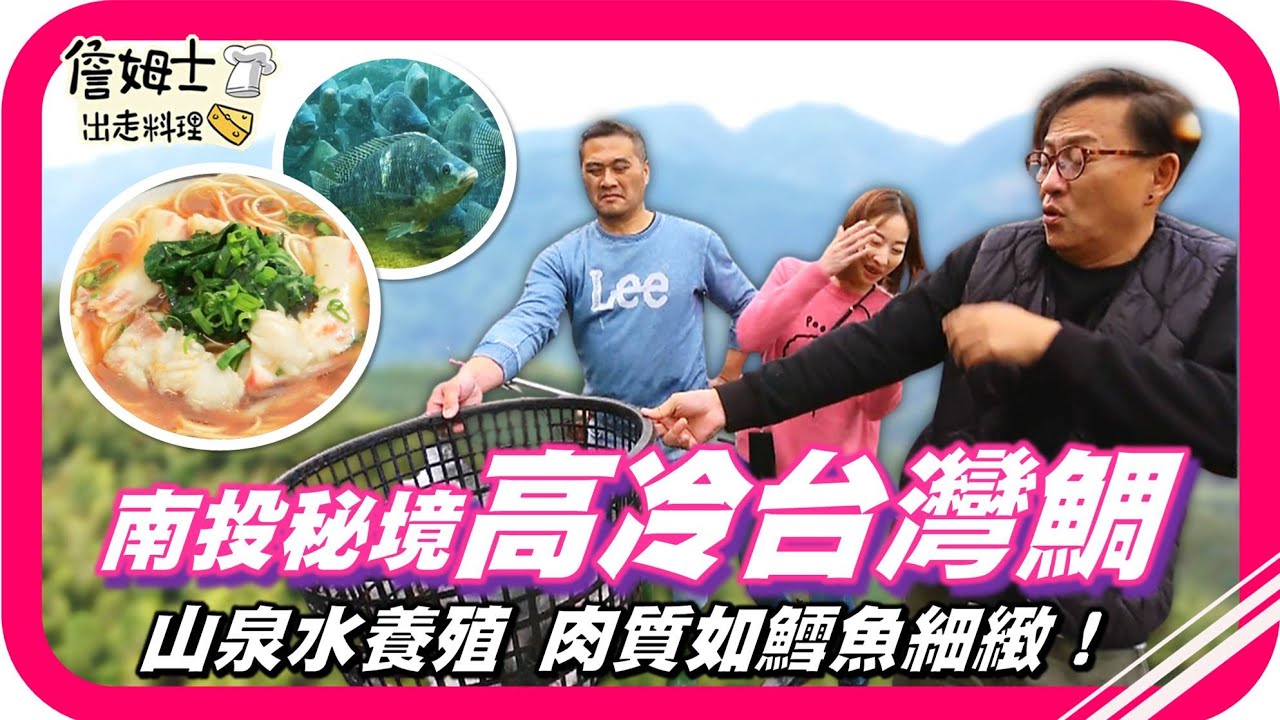 📌精選｜EP 249 南投秘境「高冷台灣鯛」肉質有如鱈魚般細緻！鹿谷40年老字號餐廳「紫林莊」麻筍焢肉、炸山藥酥、赤蔥蛋、筍香飯、鹽烤台灣鯛征服味蕾！詹姆士露一手「鯛魚醬油湯麵 」獻給看影片的你！
