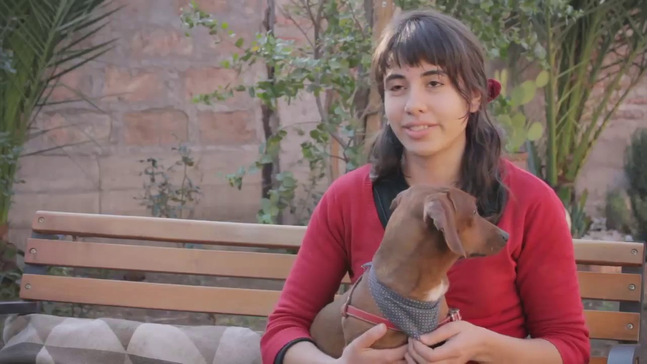 Cremacion de Mascotas Eternapet Chile