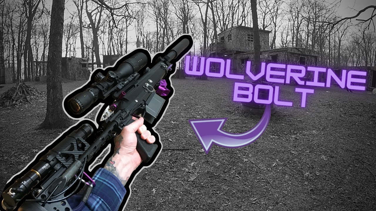 SLAYING with my Modular Sniper System | Custom Vsr-10 Wolverine Bolt Build 🐺