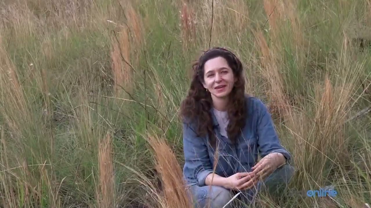 Bioma Cerrado e suas Fitofisionomias